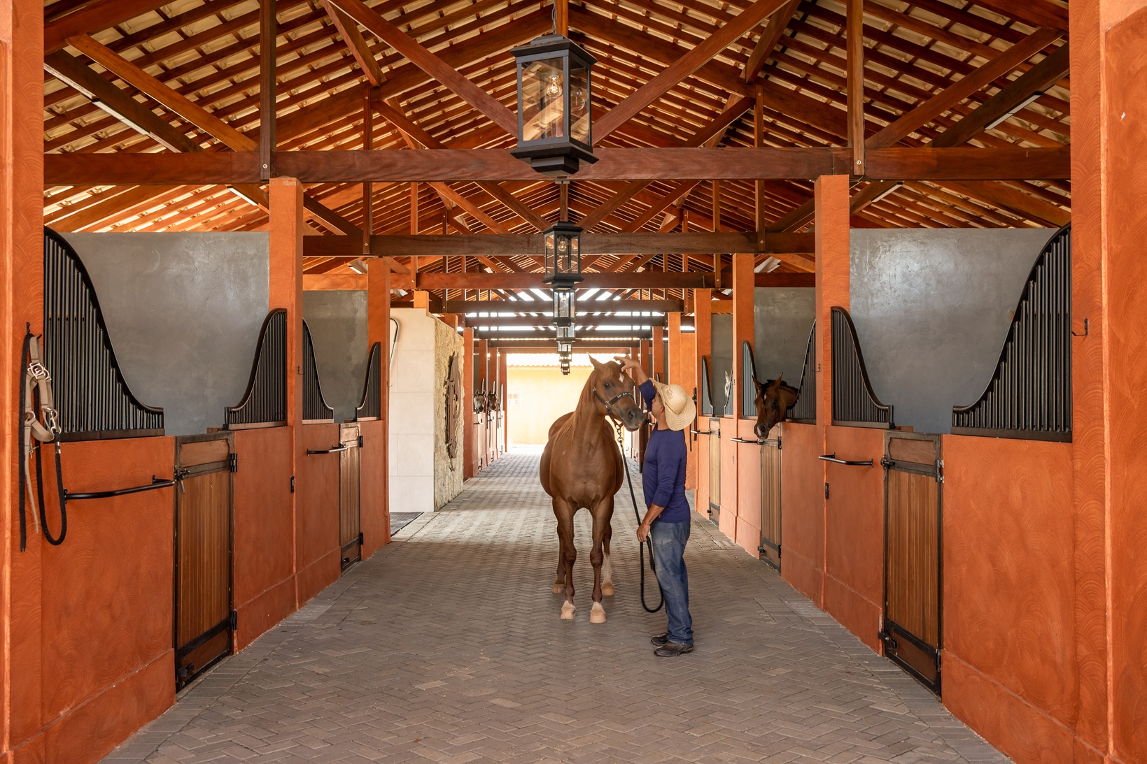 Arquitetura-Equestre-e-TERRACOR-divulgacao--3-